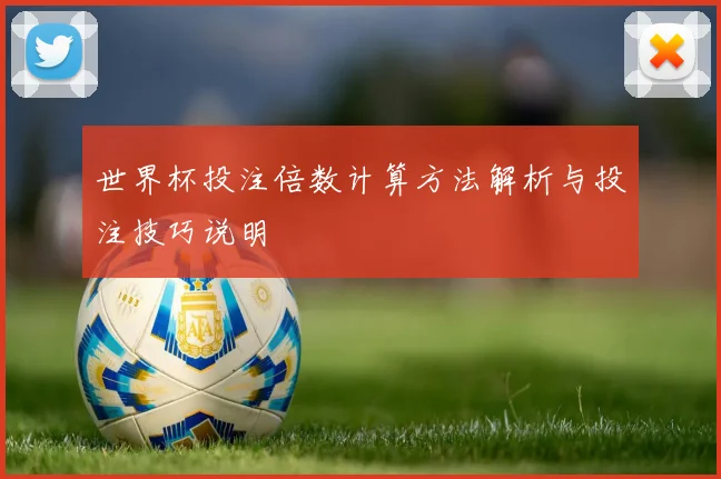 世界杯投注倍数计算方法解析与投注技巧说明