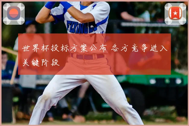 世界杯投标方案公布 各方竞争进入关键阶段